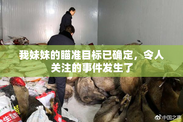 我妹妹的瞄准目标已确定，令人关注的事件发生了