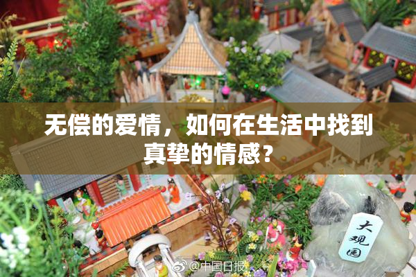 无偿的爱情，如何在生活中找到真挚的情感？