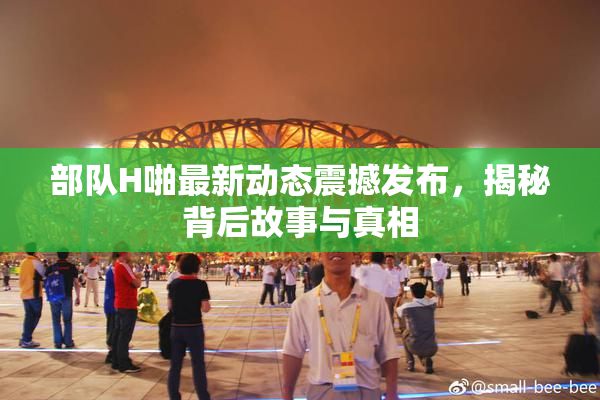 部队H啪最新动态震撼发布，揭秘背后故事与真相