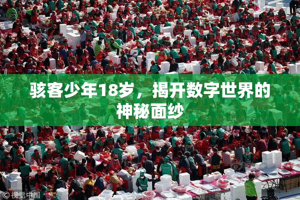 骇客少年18岁，揭开数字世界的神秘面纱