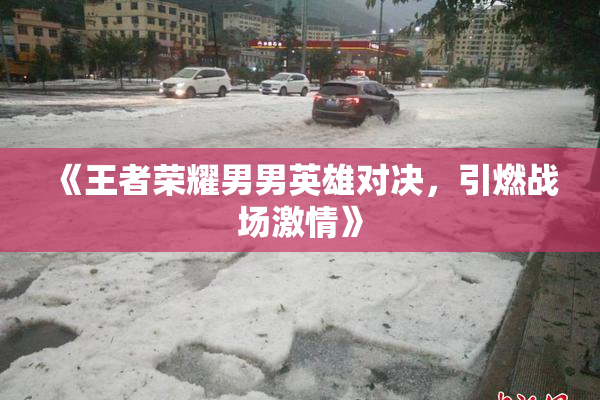 《王者荣耀男男英雄对决，引燃战场激情》