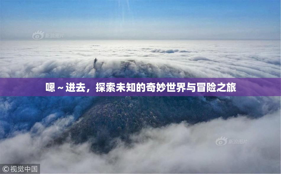 嗯～进去，探索未知的奇妙世界与冒险之旅
