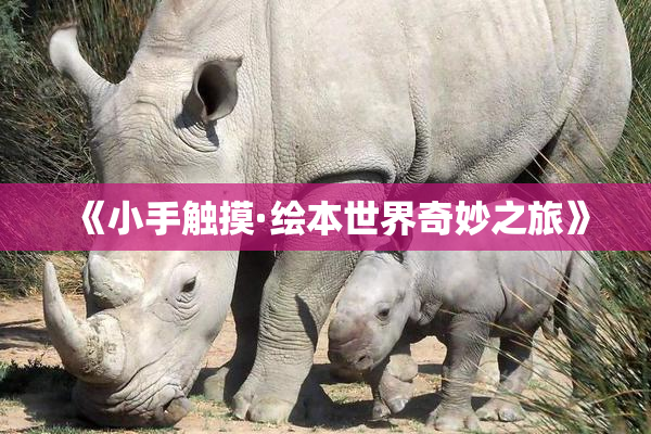 《小手触摸·绘本世界奇妙之旅》
