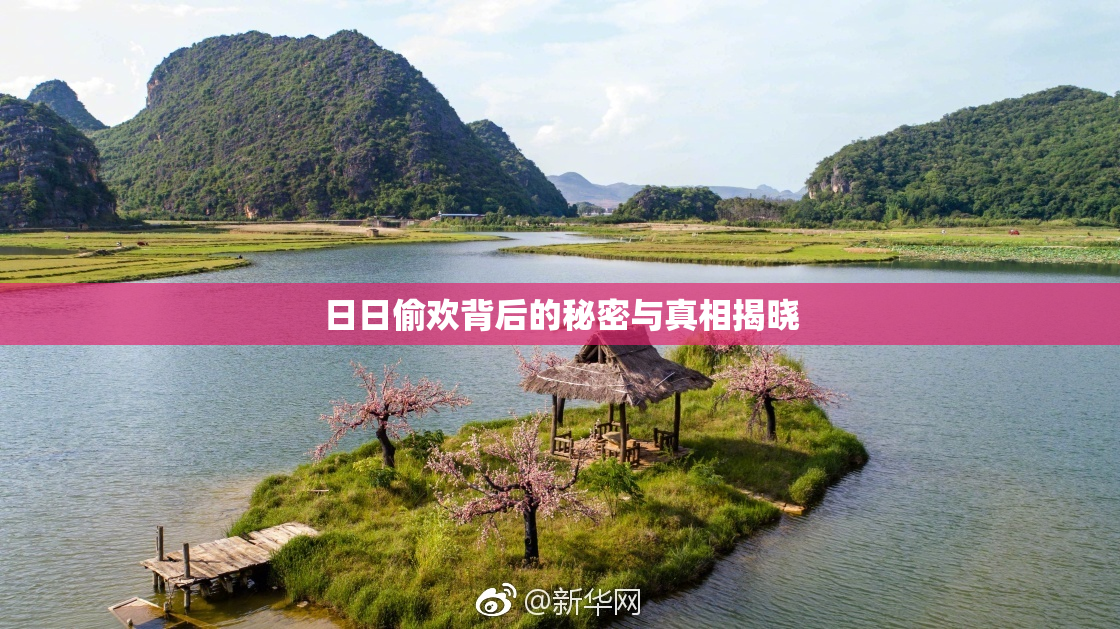 日日偷欢背后的秘密与真相揭晓