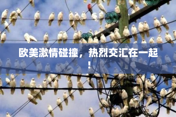欧美激情碰撞，热烈交汇在一起！