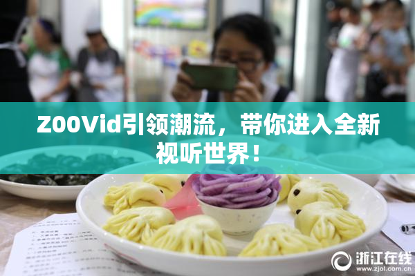 Z00Vid引领潮流，带你进入全新视听世界！