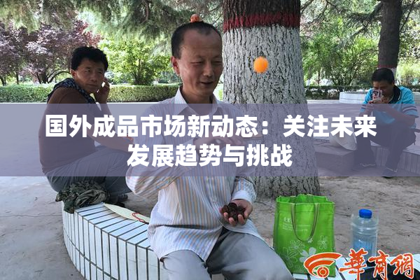 国外成品市场新动态：关注未来发展趋势与挑战