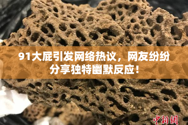91大屁引发网络热议，网友纷纷分享独特幽默反应！