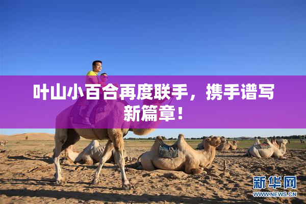 叶山小百合再度联手，携手谱写新篇章！