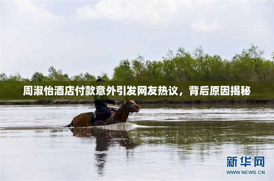 周淑怡酒店付款意外引发网友热议，背后原因揭秘