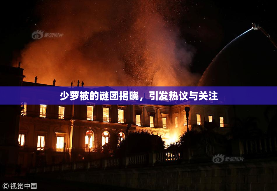 少萝被的谜团揭晓，引发热议与关注