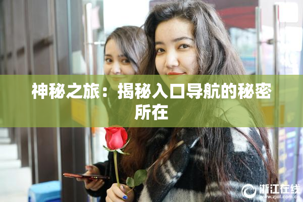 神秘之旅：揭秘入口导航的秘密所在