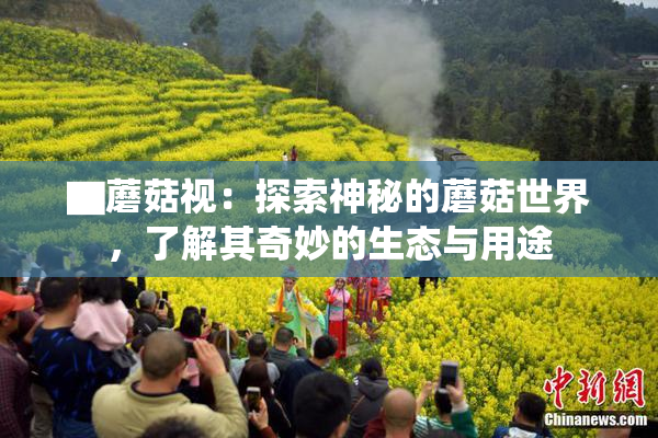 ▇蘑菇视：探索神秘的蘑菇世界，了解其奇妙的生态与用途