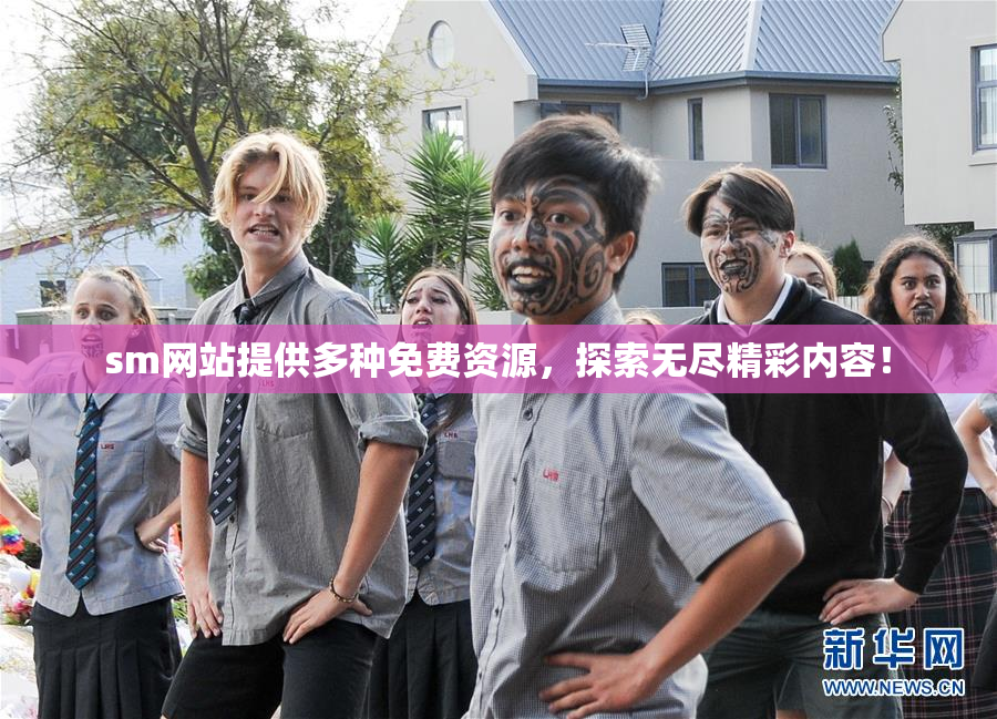 sm网站提供多种免费资源，探索无尽精彩内容！