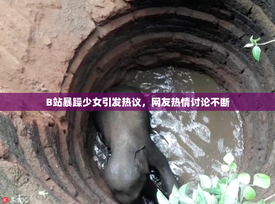 B站暴躁少女引发热议，网友热情讨论不断