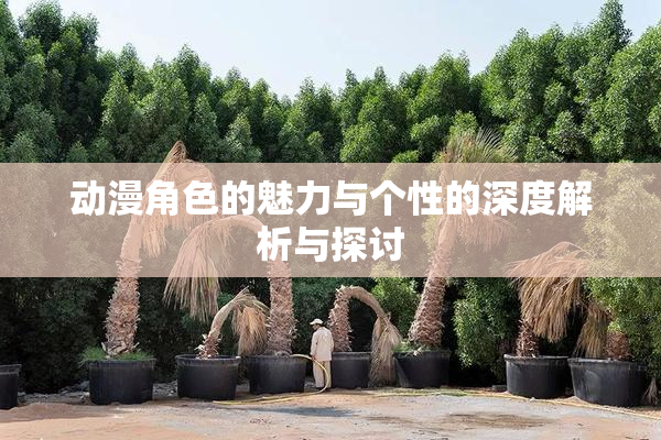 动漫角色的魅力与个性的深度解析与探讨