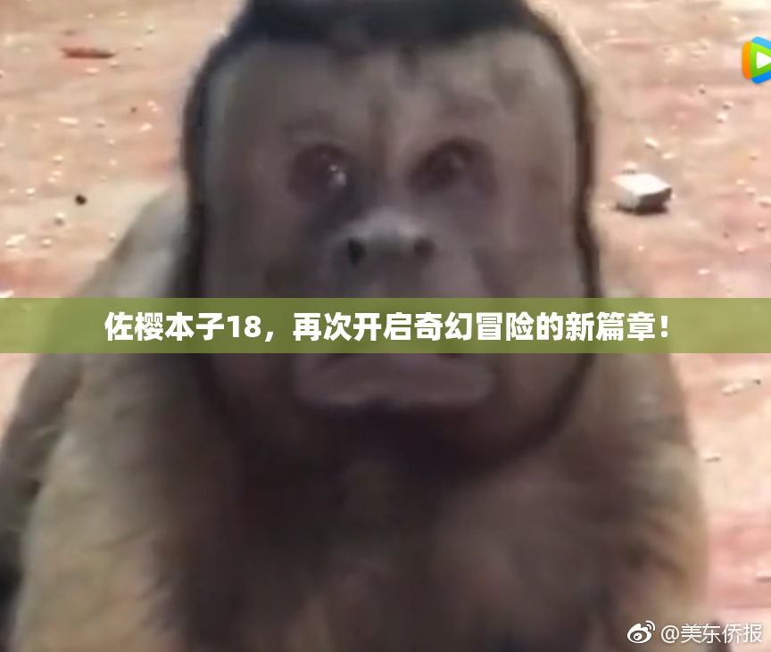 佐樱本子18，再次开启奇幻冒险的新篇章！
