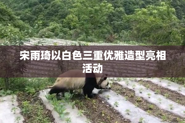 宋雨琦以白色三重优雅造型亮相活动