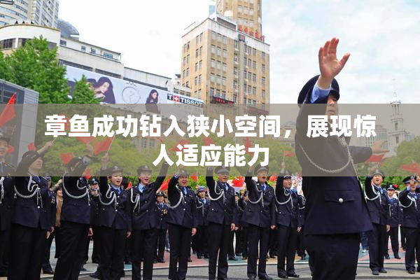章鱼成功钻入狭小空间，展现惊人适应能力