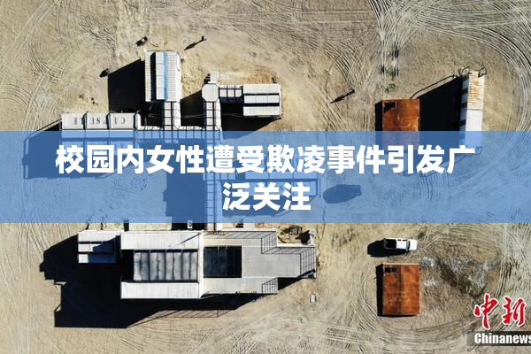 校园内女性遭受欺凌事件引发广泛关注