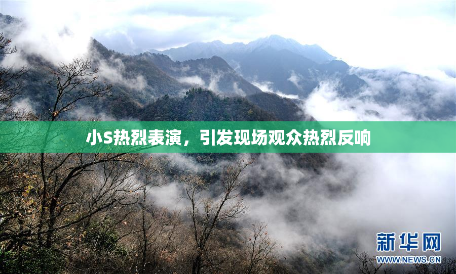 小S热烈表演，引发现场观众热烈反响
