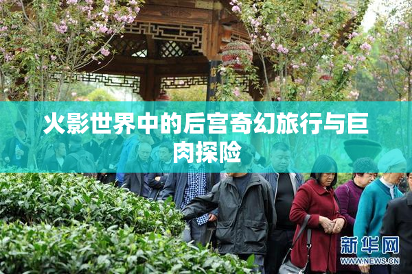 火影世界中的后宫奇幻旅行与巨肉探险