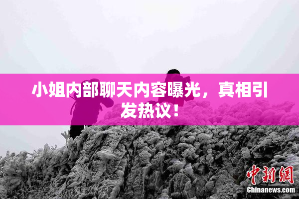 小姐内部聊天内容曝光，真相引发热议！