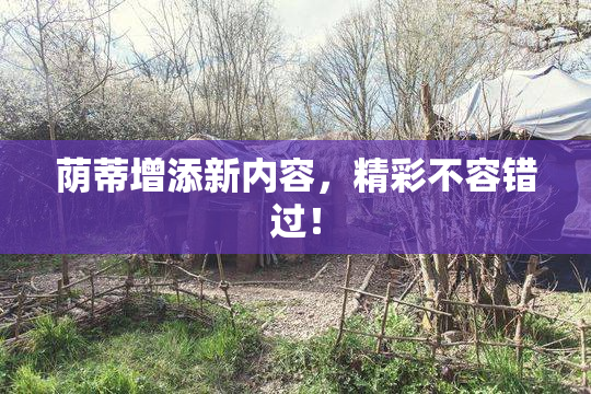 荫蒂增添新内容，精彩不容错过！