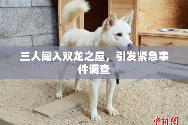 三人闯入双龙之屋，引发紧急事件调查