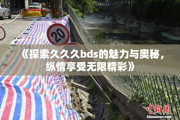 《探索久久久bds的魅力与奥秘，纵情享受无限精彩》