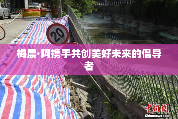 梅晨·阿携手共创美好未来的倡导者