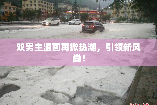 双男主漫画再掀热潮，引领新风尚！