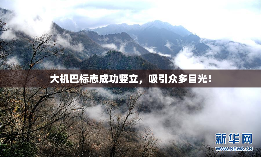 大机巴标志成功竖立，吸引众多目光！