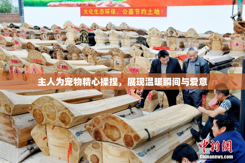 主人为宠物精心揉捏，展现温暖瞬间与爱意