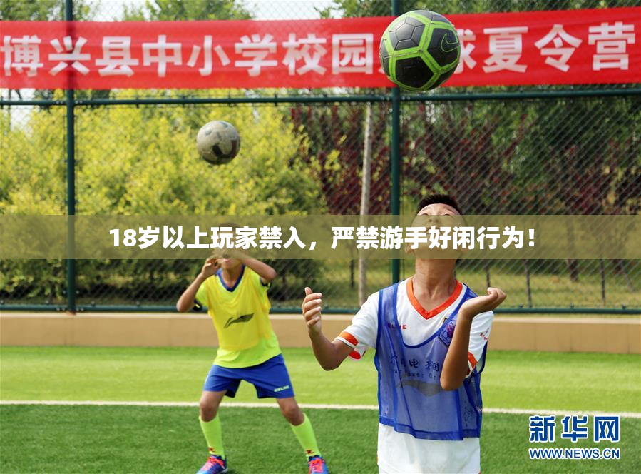 18岁以上玩家禁入，严禁游手好闲行为！