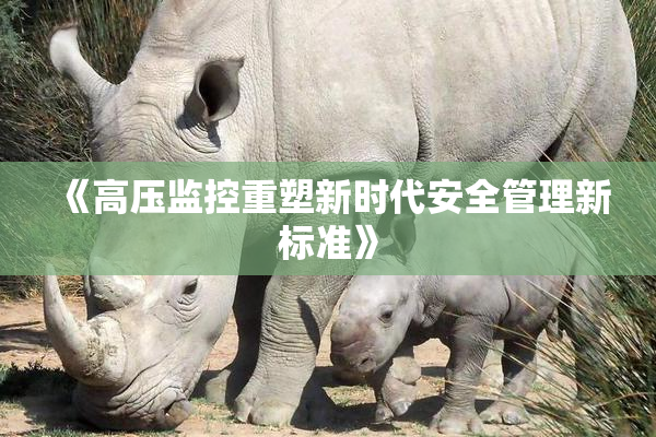 《高压监控重塑新时代安全管理新标准》