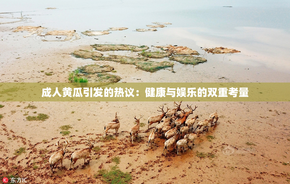 成人黄瓜引发的热议：健康与娱乐的双重考量