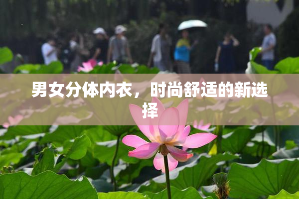 男女分体内衣，时尚舒适的新选择