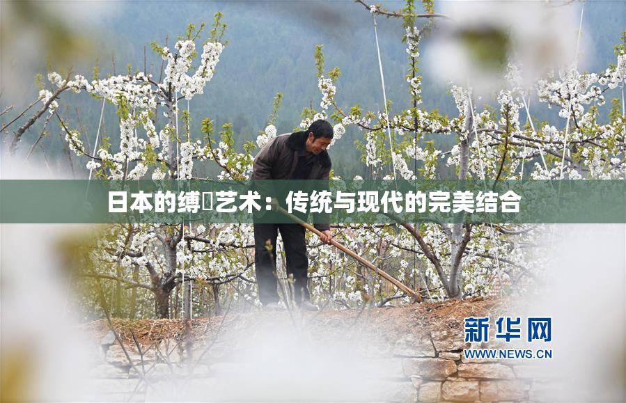 日本的缚縄艺术：传统与现代的完美结合
