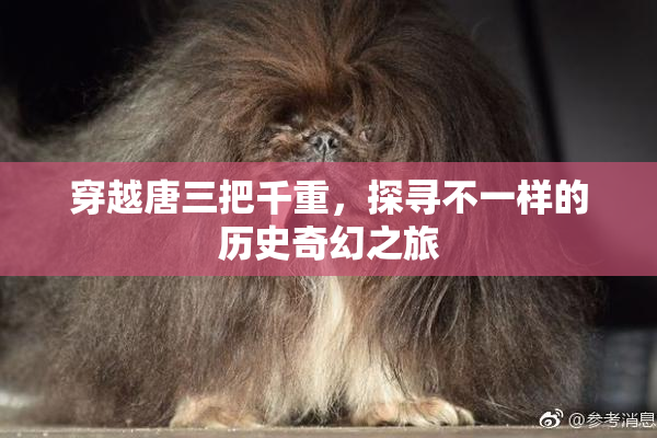 穿越唐三把千重，探寻不一样的历史奇幻之旅