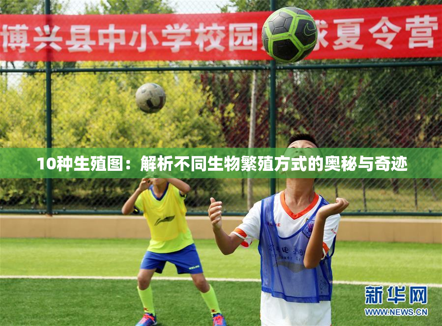 10种生殖图：解析不同生物繁殖方式的奥秘与奇迹