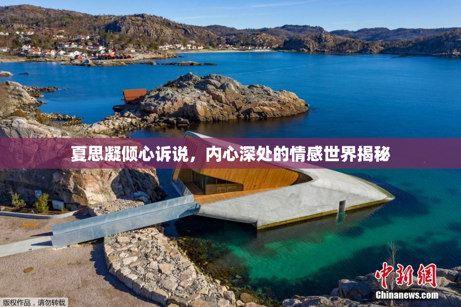 夏思凝倾心诉说，内心深处的情感世界揭秘