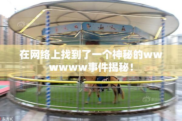 在网络上找到了一个神秘的wwwwww事件揭秘！