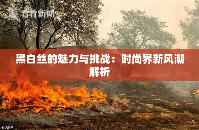 黑白丝的魅力与挑战：时尚界新风潮解析