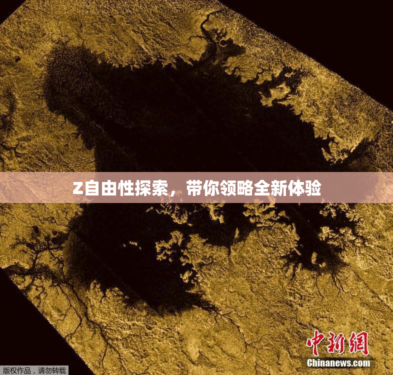 Z自由性探索，带你领略全新体验