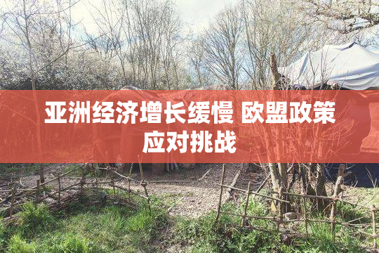 亚洲经济增长缓慢 欧盟政策应对挑战
