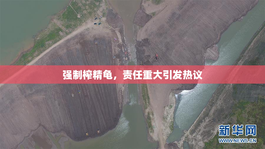 强制榨精龟，责任重大引发热议