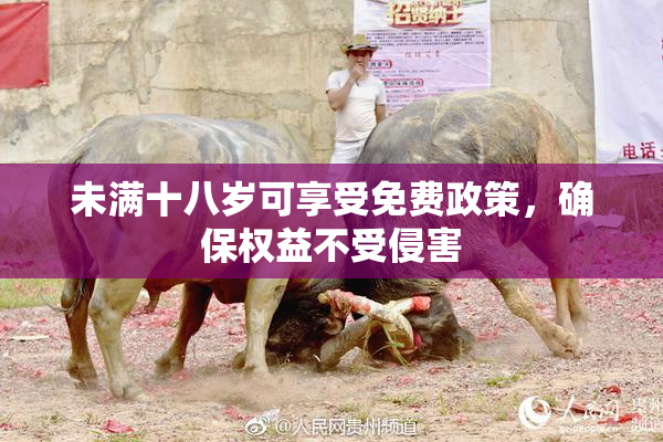未满十八岁可享受免费政策，确保权益不受侵害