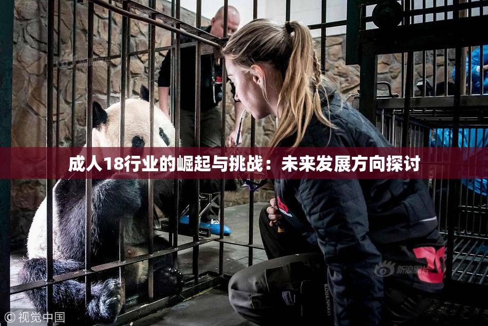 成人18行业的崛起与挑战：未来发展方向探讨