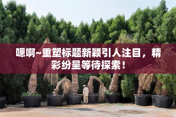 嗯啊~重塑标题新颖引人注目，精彩纷呈等待探索！